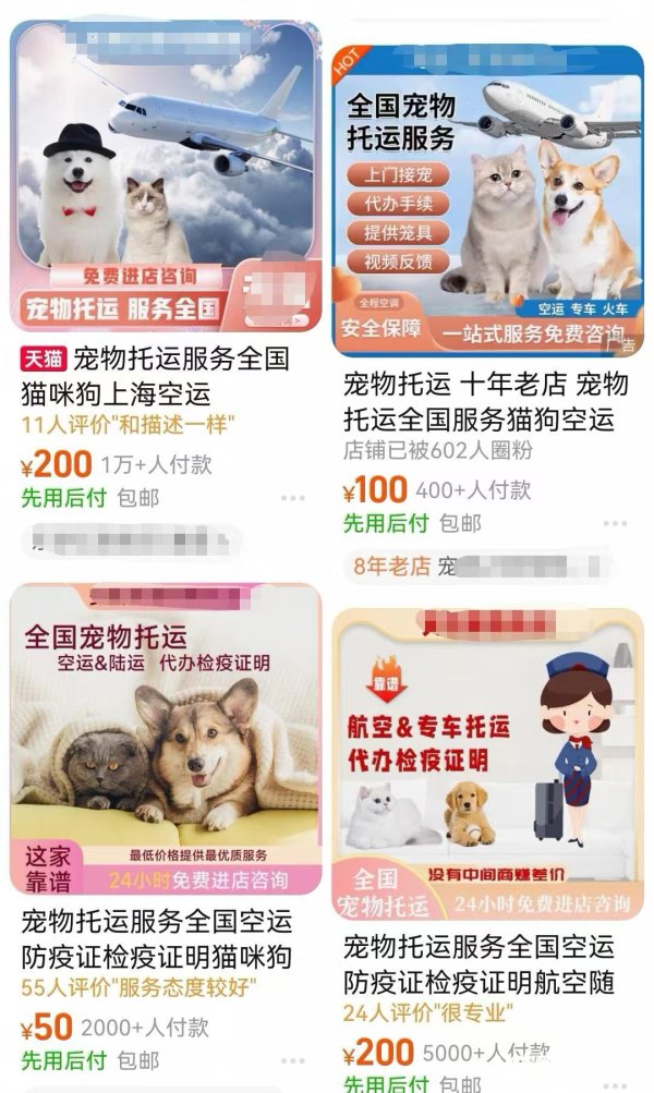 怀远策略 宠物托运代办乱象调查：检疫证或造假，查验漏洞催生灰色服务