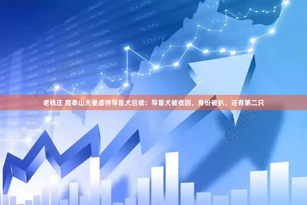 老钱庄 爬泰山夫妻虐待导盲犬后续：导盲犬被收回，身份被扒，还有第二只