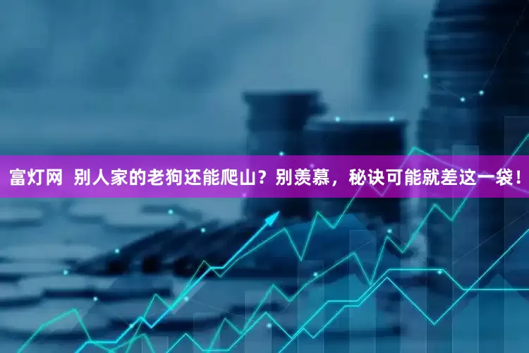 富灯网  别人家的老狗还能爬山？别羡慕，秘诀可能就差这一袋！