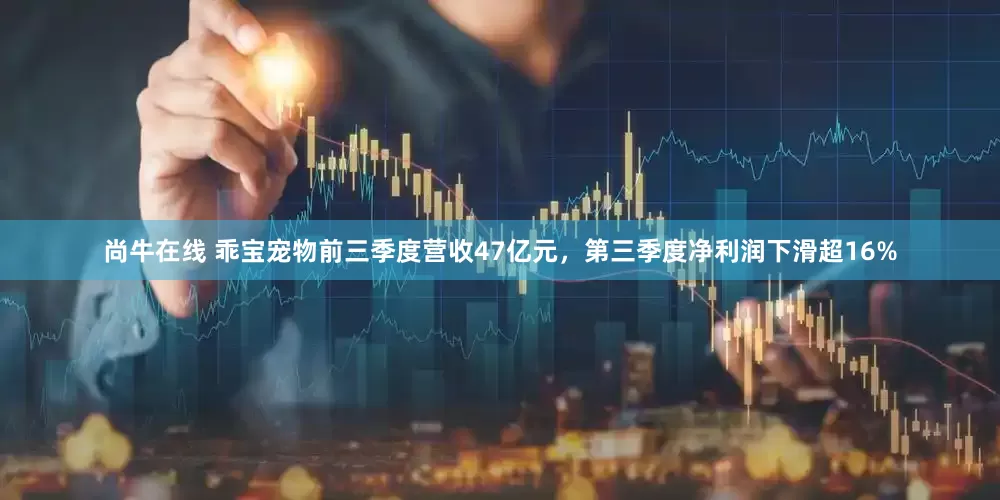 尚牛在线 乖宝宠物前三季度营收47亿元，第三季度净利润下滑超16%